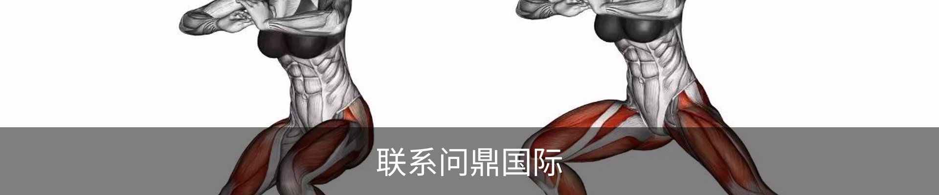 联系问鼎国际